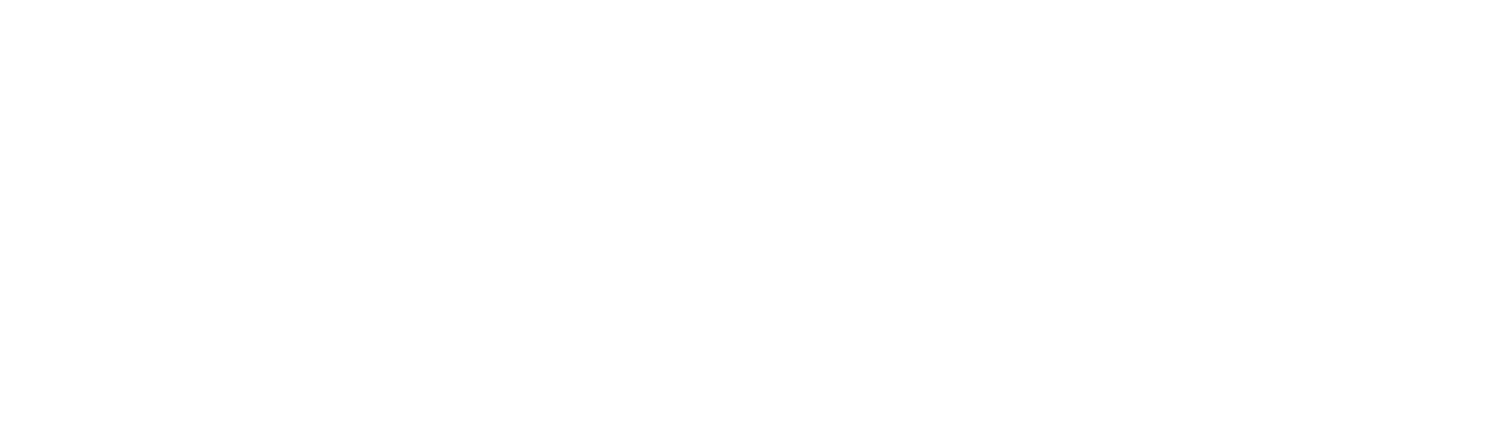 Home Pro Valet